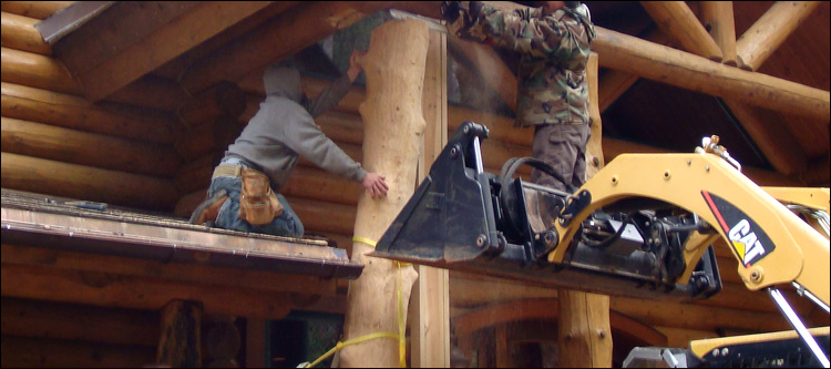 Log Home Log Replacement  Alleghany County,  North Carolina