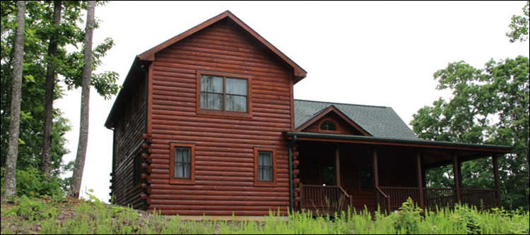 Professional Log Home Borate Application  Alleghany County,  North Carolina